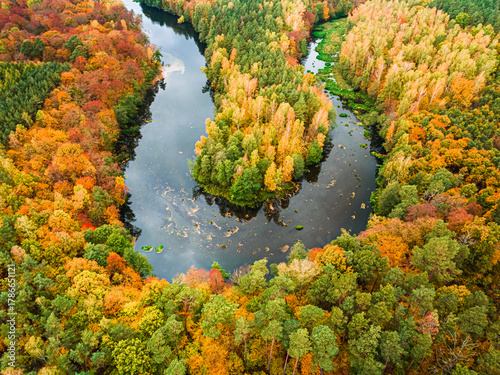 Yellow forest and river in ...