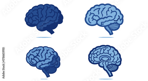 A collection of detailed blue human brain vector illustrations showcasing different anatomical views and styles, perfect for medical and scientific concepts.