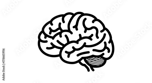 A detailed black and white line art vector illustration of a human brain, symbolizing intelligence, thought, and medical science concepts.