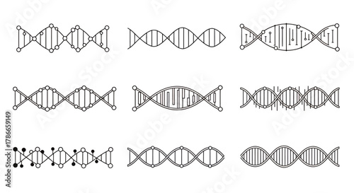 A set of nine distinct DNA strand illustrations, presented as a clean vector graphic suitable for scientific, medical, or educational materials and designs, isolated on white.