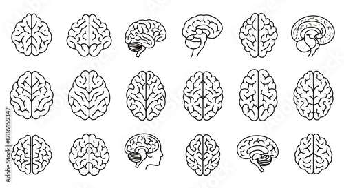 Collection of stylized line art illustrations depicting the human brain from various anatomical angles and perspectives in a clean, modern vector style.