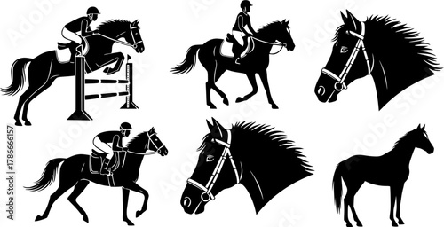 Equestrian silhouette, Horse riding silhouette, Equestrian, Horse riding, Equestrian sports silhouette, Equestrian clipart, Equestrian horse jumping silhouette set