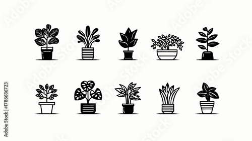 Collection of minimalist black and white potted plant icons. Various indoor houseplants illustration set for home decor or gardening.