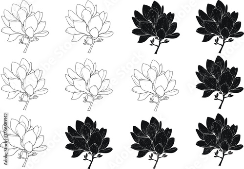 Botanical flower illustration grid, black and white floral art, line drawing and silhouette style, symmetrical petal design, nature-inspired graphic flower pattern collection