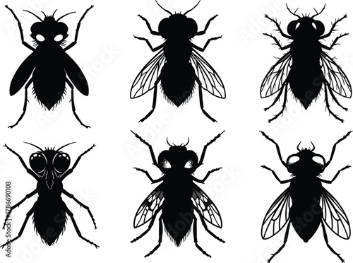 Fly silhouette illustration, insect shape variation, entomology design, black vector graphic, wing detail, body structure, educational concept, artistic style, scientific theme, bug morphology