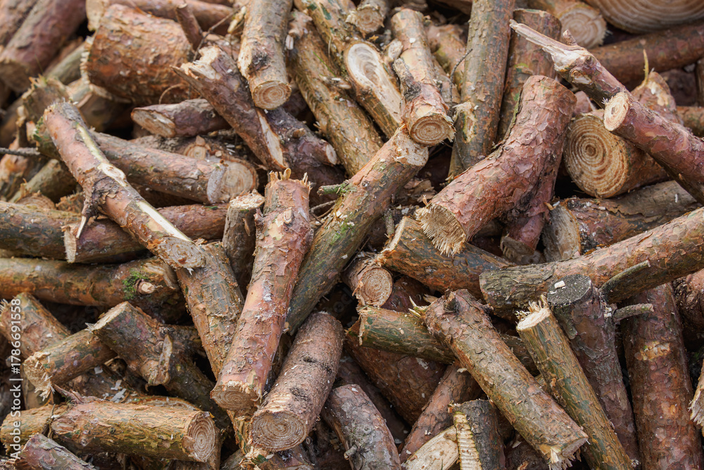 Fototapeta premium Pile of pine wood logs cut into chunks with varying diameters. 