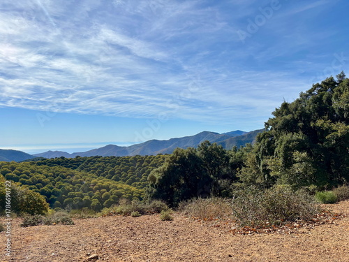 sierra view of a chestnut forest in Andalusia in south Spain with sea and mountains in the background