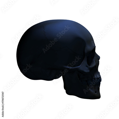human skull, transparent background, 300 dpi