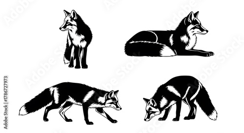 Four distinct black ink illustrations of a fox in various poses isolated on white background