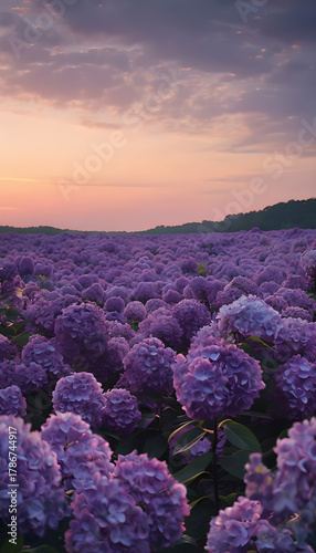 Gorgeous Lilac Blooms Under Gentle Evening Light, Creating a Serene and Beautiful Floral Landscape Outdoors