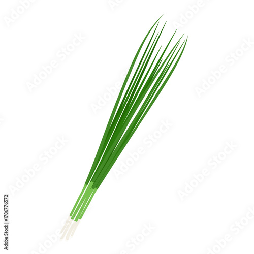 小ネギのシンプルなイラスト