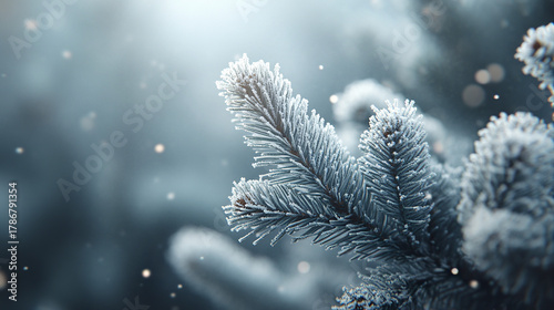 Frost covered pine branch with delicate ice crystals in soft light, creating serene winter atmosphere with blurred background and gentle snowflakes falling