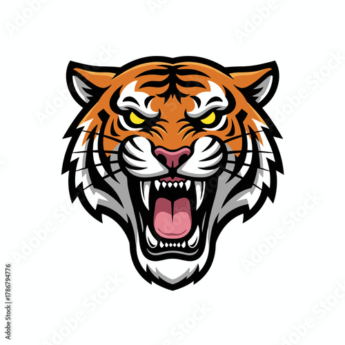 Harimau liar margasatwa kepala macan potret bergaris kucing besar vektor