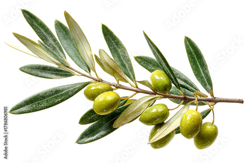 Wallpaper Mural Fresh green olives on a branch isolated on transparent background Torontodigital.ca