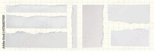 Torn paper edges on a grid background. Torn with rough edges. Grid background with torn paper. Paper texture, torn edges, grid lines, paper scraps. Ripped element set. Vectors.