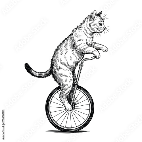 Whimsical cat riding a vintage unicycle in sketch style