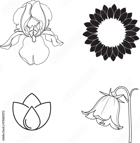 Set of Monochrome Floral Line Art and Silhouette Vector Graphics