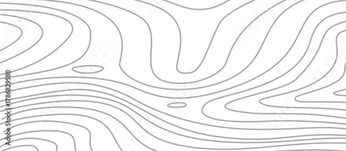 topographic contour background. contour lines background. Topographic map background. abstract wavy background. Topographic map contour background.
