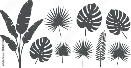 Tropical leaf set Vector