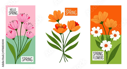 Spring Floral Greetings Vibrant Blossoms of Tulip, Poppy, and Daisy in Colorful Arrangements