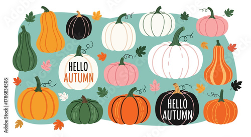 Collection of Various Pumpkins with 'Hello Autumn' Text and Leaves, Autumnal Holiday Elements