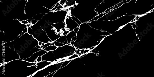 "Elegant black marble texture with striking white veins. Perfect for backgrounds, modern interior design, luxury product mockups, and digital graphics requiring a high-contrast natural stone effect"	
