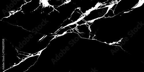 "High-quality black marble with natural white veins, seamless luxury texture for architectural visuals, 3D renders, and backgrounds"	
