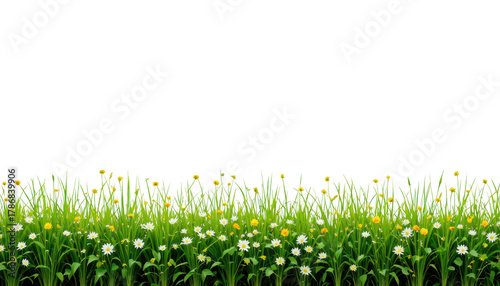 Green grass with small flowers bottom border — isolated on transparent png background