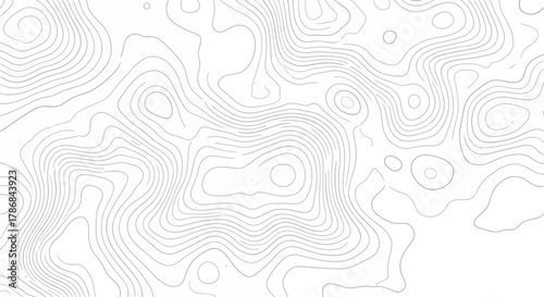 Minimalist Topographic Map Lines An Abstract Geographical Representation