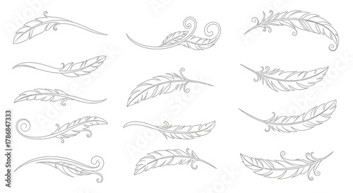 Elegant feather designs with delicate swirls and intricate line art create a refined, artistic, and whimsical aesthetic for creative projects