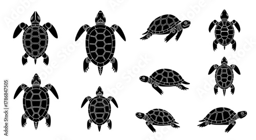 Collection of stylized black sea turtles with intricate shell patterns, displayed in various dynamic poses for captivating marine life designs.