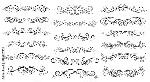 Elegant floral decorative flourishes and dividers with swirling vine motifs to enhance designs
