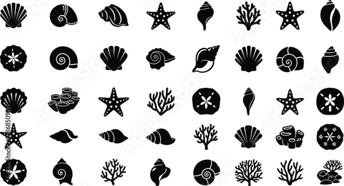 Sea shell silhouettes, marine life vector icons, starfish coral and seashell collection, ocean nature elements, tropical beach illustration set, underwater design bundle