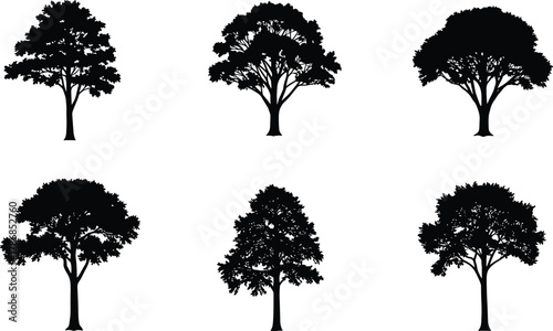 Tree silhouettes set, six diverse trees, black vector, botanical shapes, landscape design elements, foliage, trunks, canopy variations, minimalist, nature, forest, park, garden, illustration