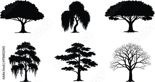 Tree silhouettes set, six diverse trees, broad canopies, weeping willow, hanging moss, conifer pine, intricate leafless branches, botanical collection, landscape design elements, black vector