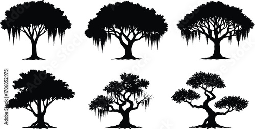 Tree silhouettes set, diverse forest shapes, hanging moss, wide canopies, thick trunks, compact foliage, twisted branches, botanical collection, nature design elements, vector illustration