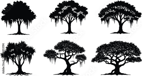 Tree silhouettes set, six diverse trees, hanging moss and vines, broad canopies,