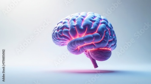 Illuminated Brain Anatomy A Detailed 3D Model of the Human Brain, Showing Its Complex Structure and Neural Pathways