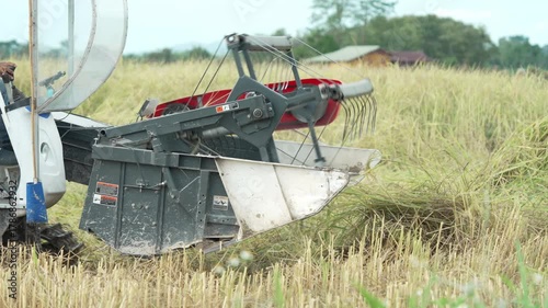 Autumn is rice harvesting time in Thailand. A close tight front view of a rice harvester machine in action	