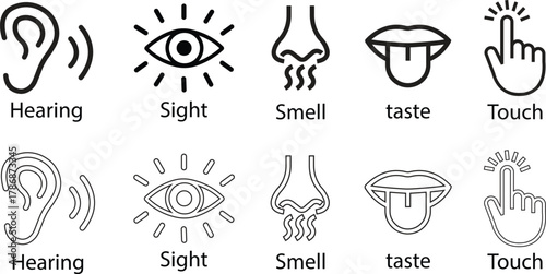 Human senses flat, line icon set. Vision eye, smell nose, hearing ear, touch hand, taste mouth with tongue. Five senses of human nervous system. Design vectors for health, medical, sensory perception.