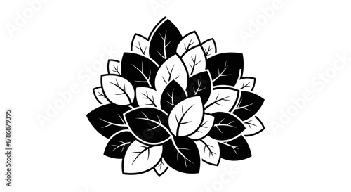 Leaf cluster with transparent background