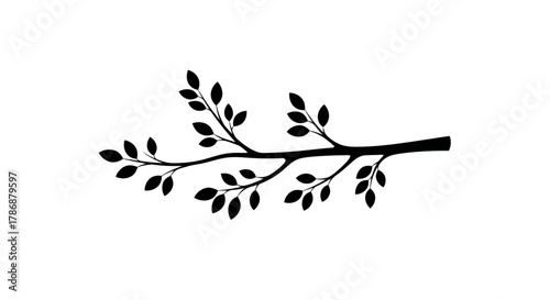 Tree branch with leaves with transparent background