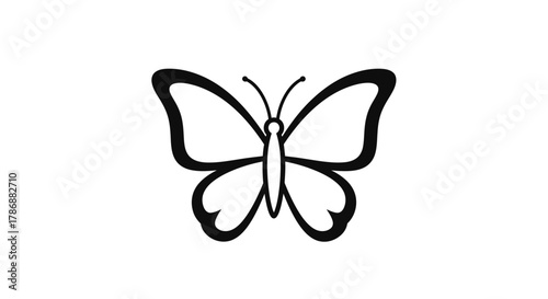 Butterfly outline with transparent background