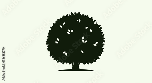 Dark green tree silhouette with transparent background