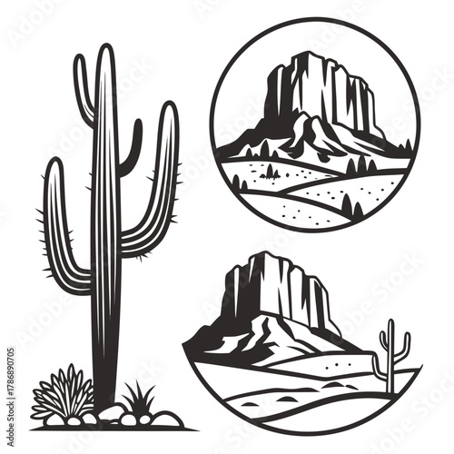 Illustration of a desert landscape with cactus and mountains a desert is a barren area of land where little precipitation occurs
