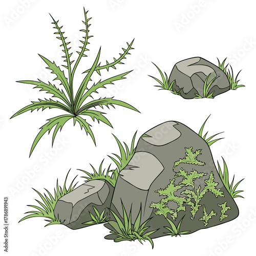 Illustration of a thistle plant and rocks with grass, the thistle has spiky leaves and the rocks are gray with some lighter gray patches
