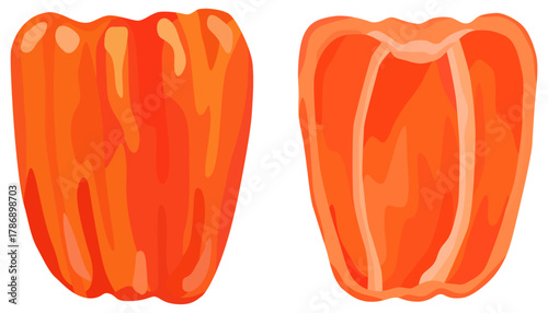 赤色のパプリカのイラスト 断面 ベクター素材