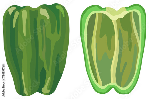 ピーマンの断面のイラスト ベクター素材