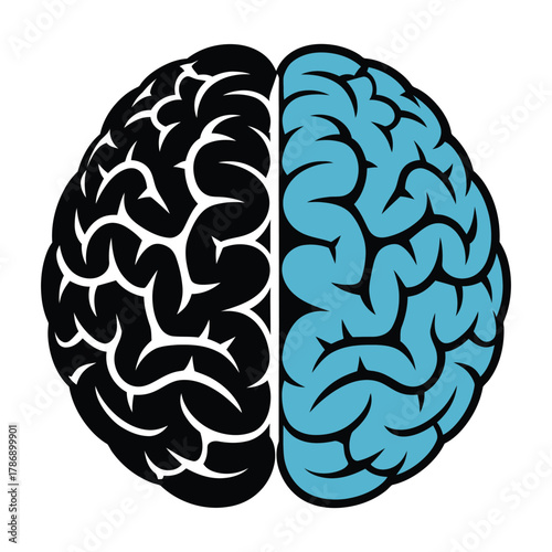 Split brain illustration showing two hemispheres