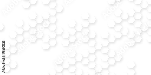 White surface with hexagonal shapes showing on the right side,  geometric hexagonal honeycomb shape texture, geometric polygon science biology background.